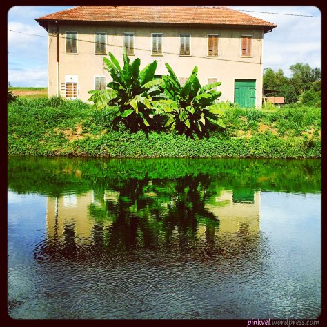 House with banana-trees on the Naviglio Grande
